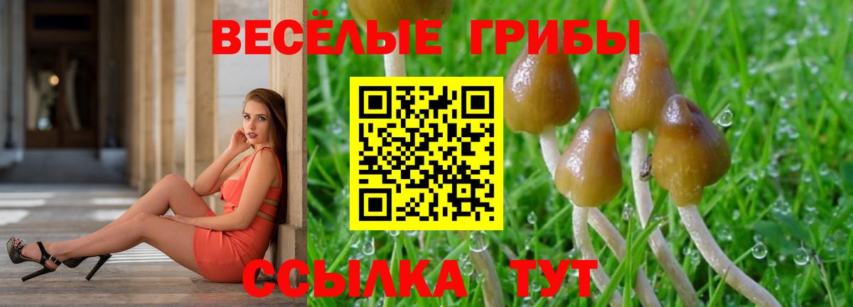 Псилоцибиновые грибы ЛСД Грозный